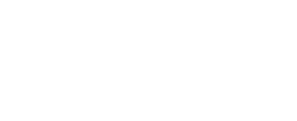 Vanguard Properties